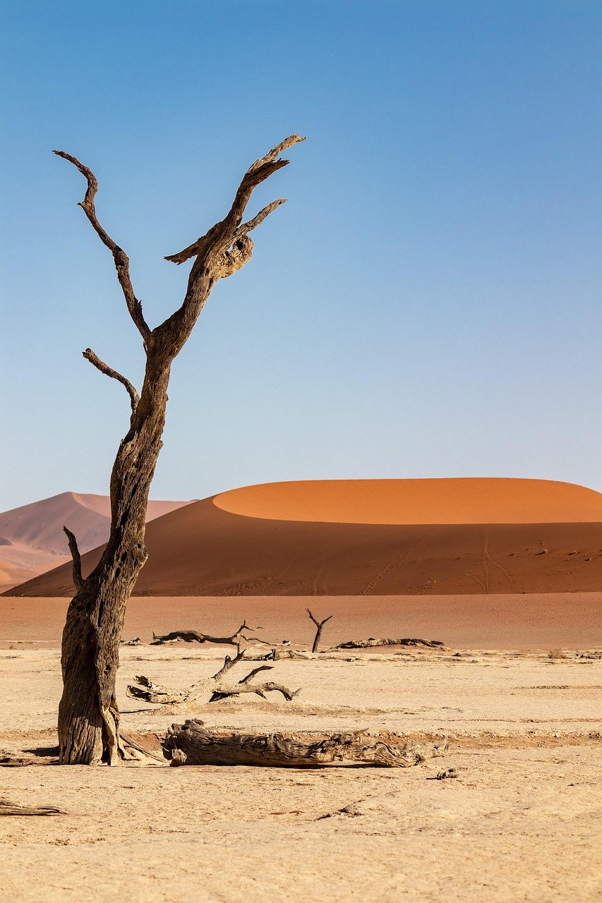 namibia, desert, sand, dune, dunes, sossusvlei, sahara, dry, nature, tree, sand dunes, namib desert, sandy, hot, chameleon, automobile, scrap metal, stone desert, heaven, landscape, dryness, desert, desert, desert, desert, desert